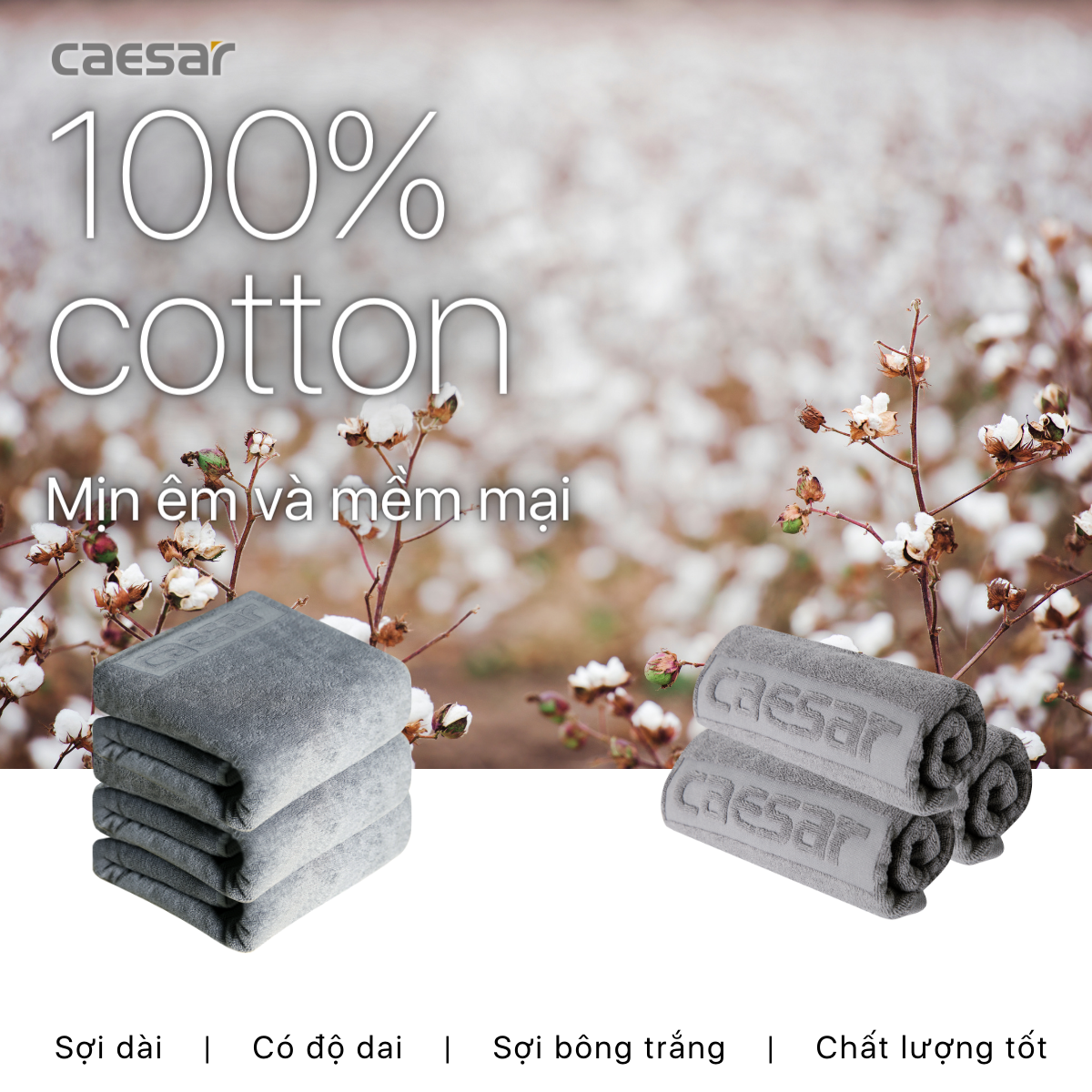 Caesar Bath Towels and Face Towels