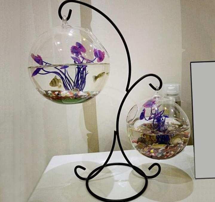 Bể cá mini Giá Treo tròn