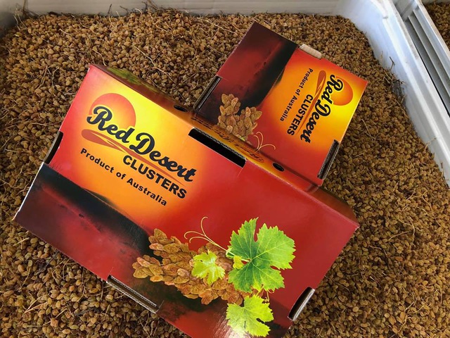 Nho khô rời  TL500g Red Desert (Giống nho Sunmuscat) Úc