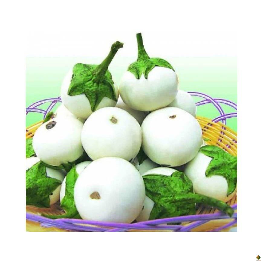 Hạt Giống Cà Pháo Trắng - Gói 1 Gram