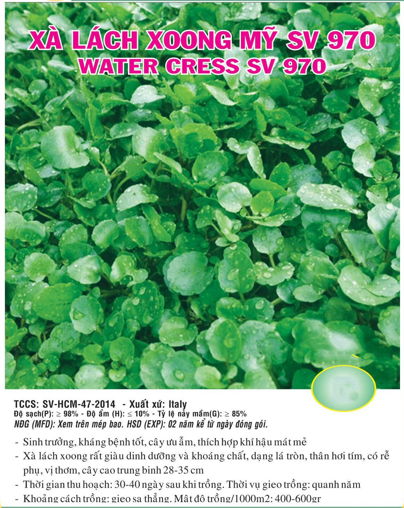 Hạt giống Xà lách xoong VTS41 | Vạn Tín Store