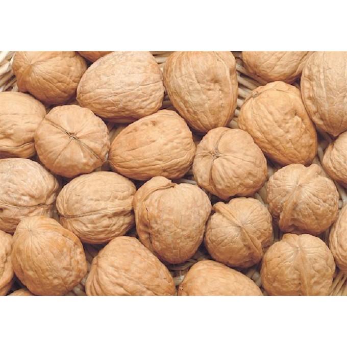 [HCM]1kg Quả Óc Chó Nhập Khẩu
