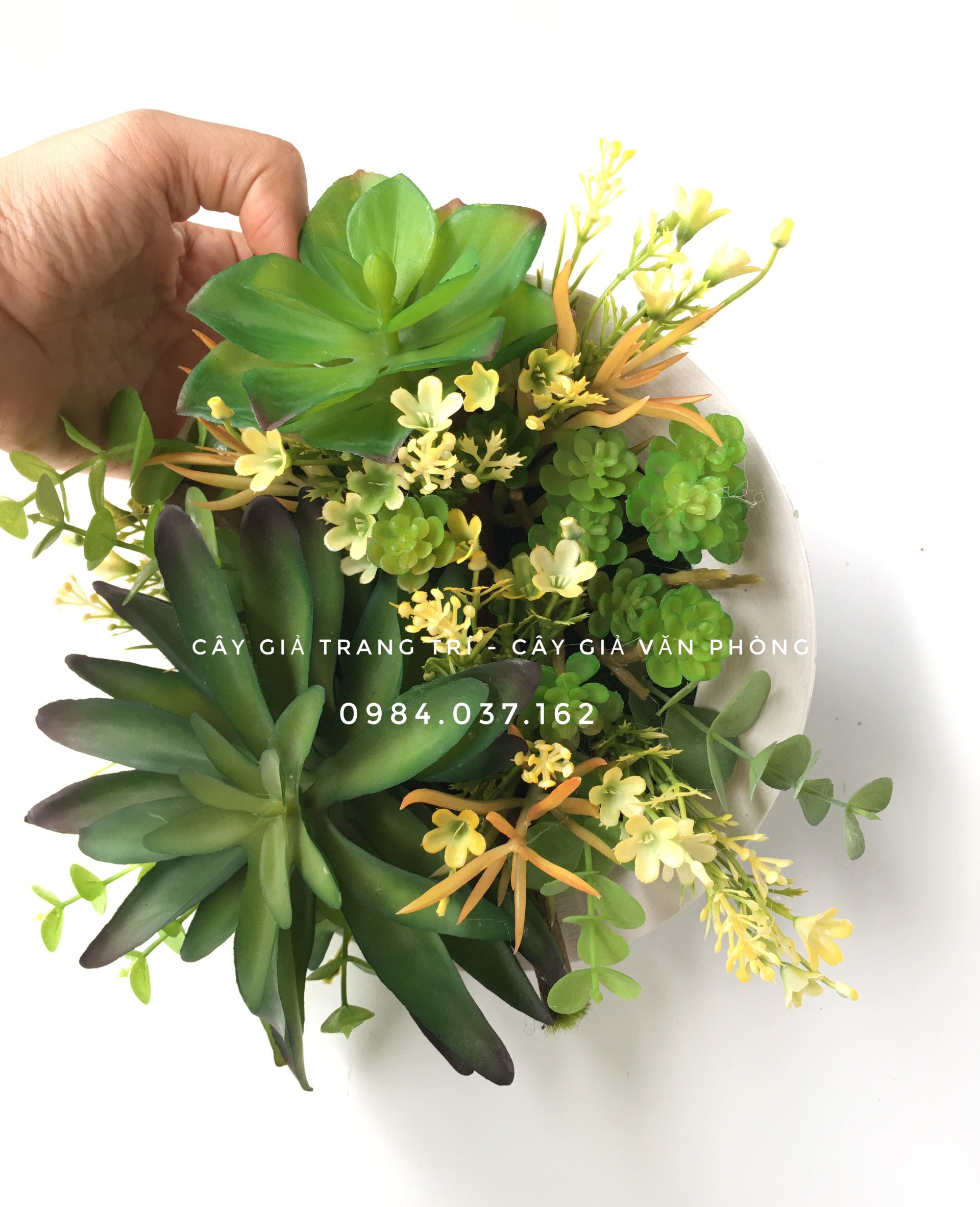 Khung tranh cây treo tường