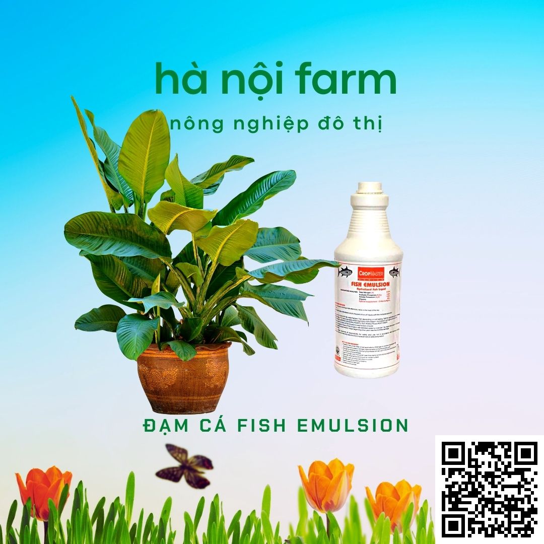 Phân bón hữu cơ fish emulsion - Đạm cá phú hảo chai 250ml