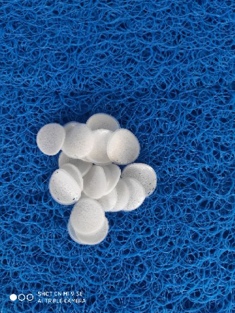 Bio chip 100g