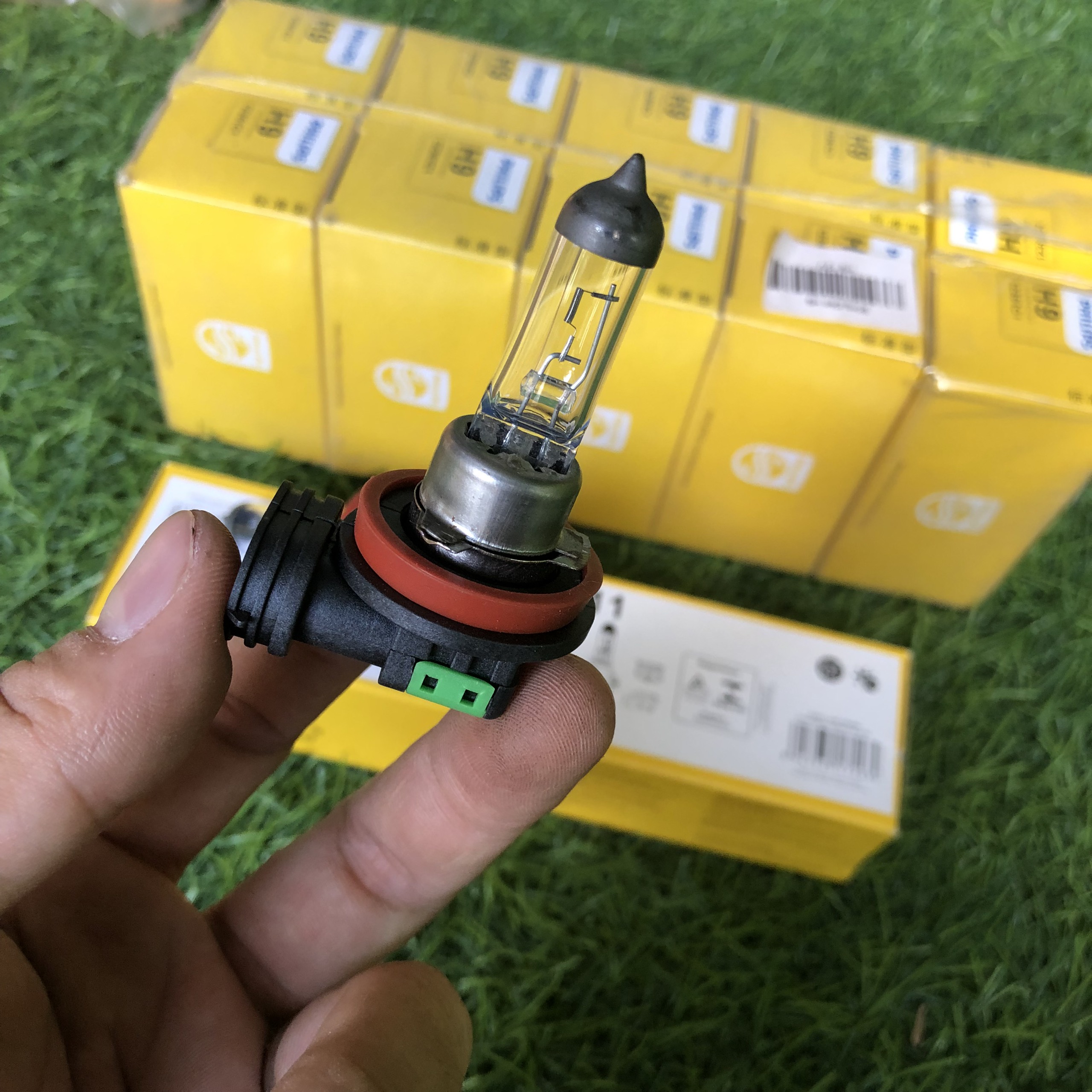 Bóng đèn gầm chân h11 philips
