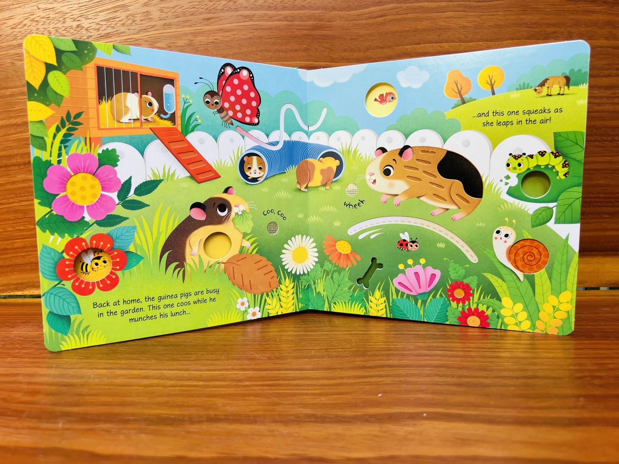 Pets Sound Book