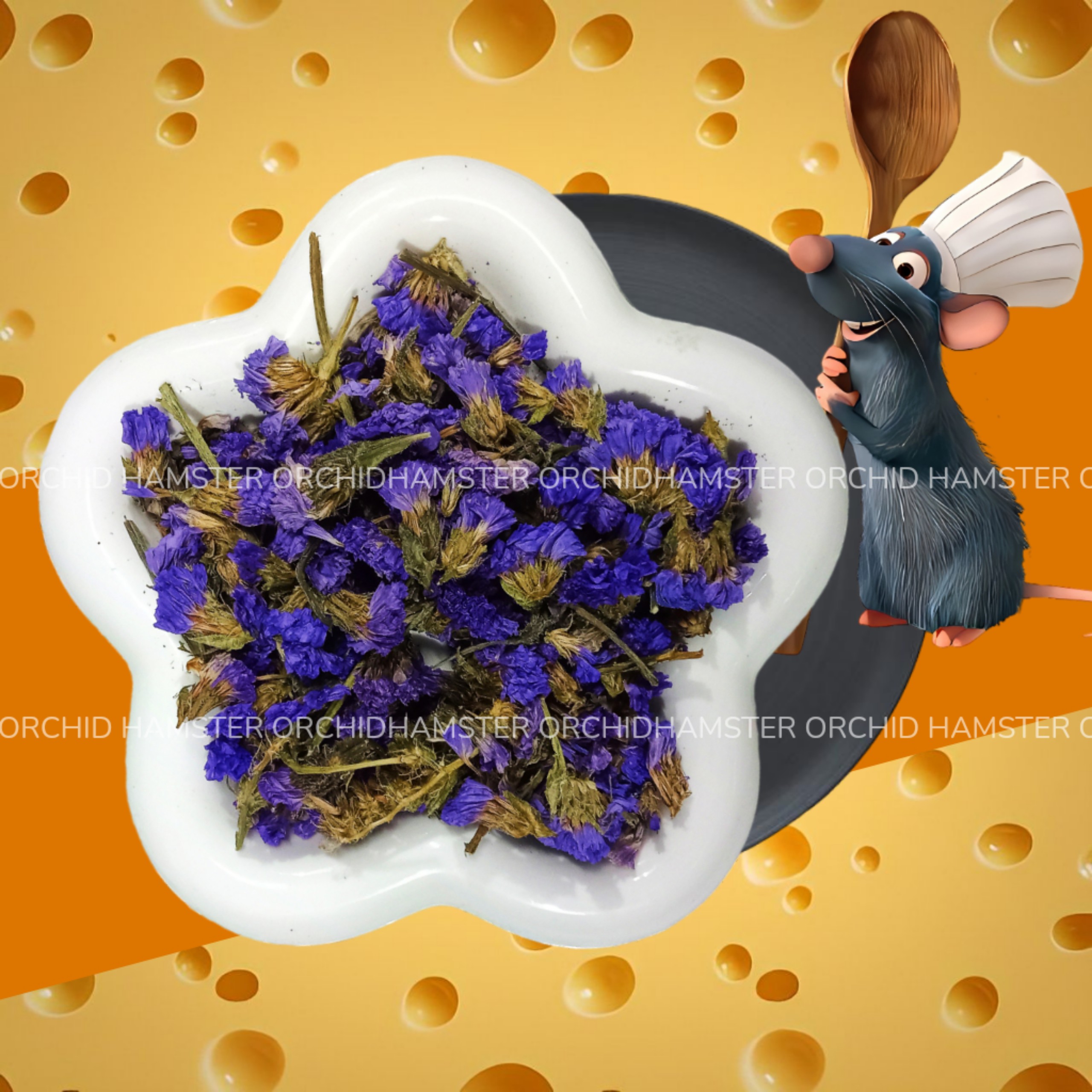 Hoa Giải Nhiệt Dành Cho Hamster
