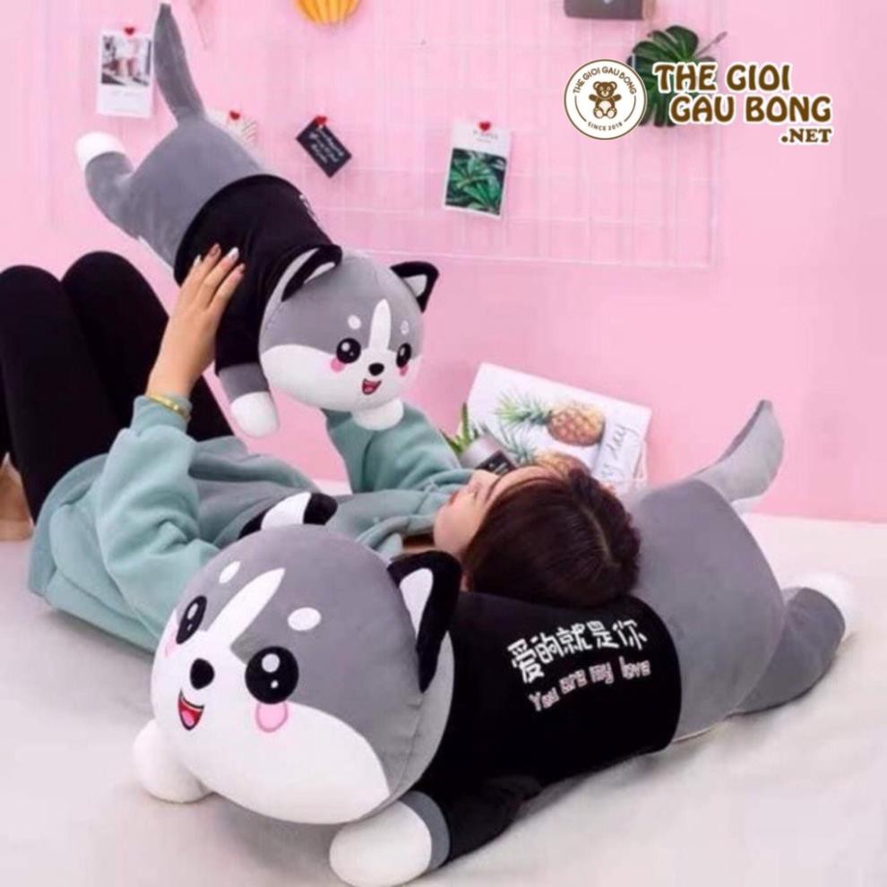 Gấu bông mèo xám dễ thương 50cm