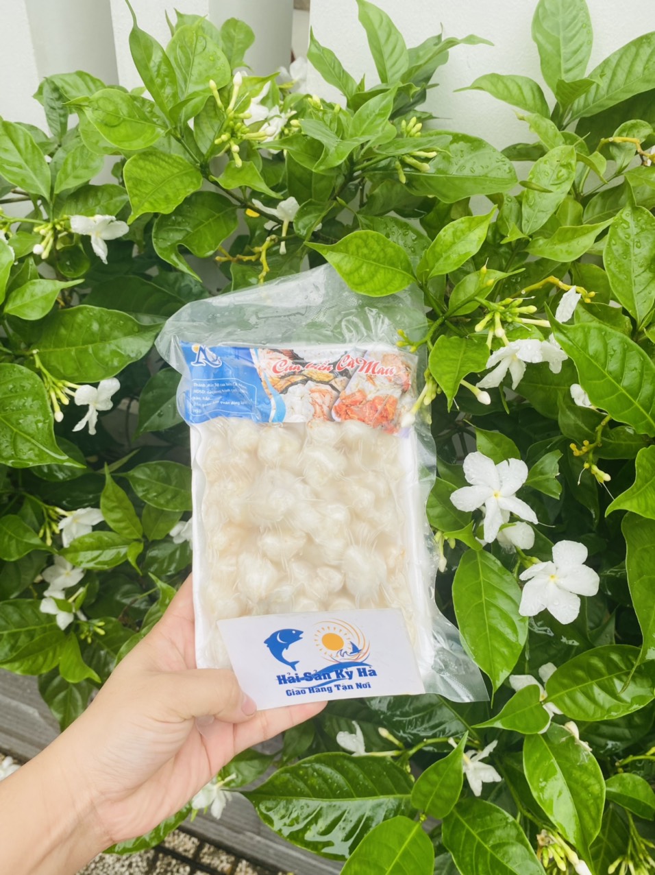[GIAO NHANH 2H HCM] Sỉ 1Kg Đùi Cua Cồ (đã bóc sẵn)