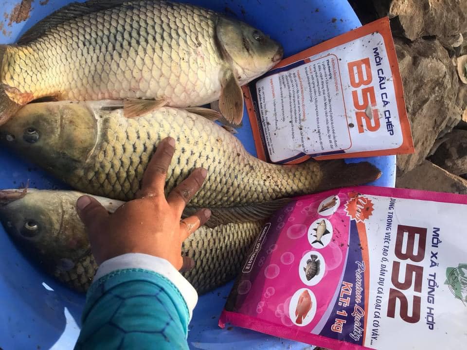 Mồi B52 Xã tổng hợp 1KG