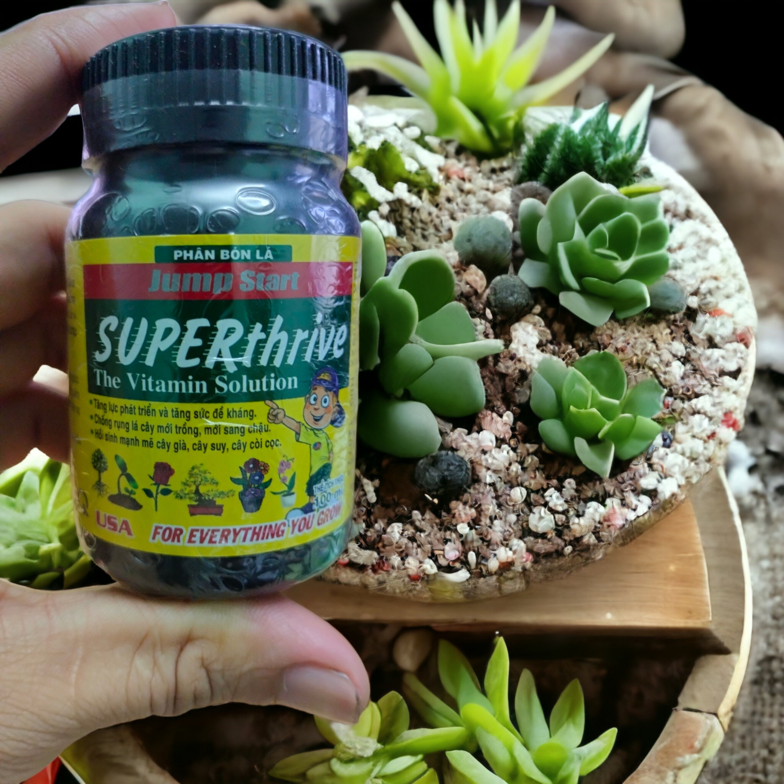 Super Thrive jump start - Phân bón lá hữu cơ sinh học - 100ml
