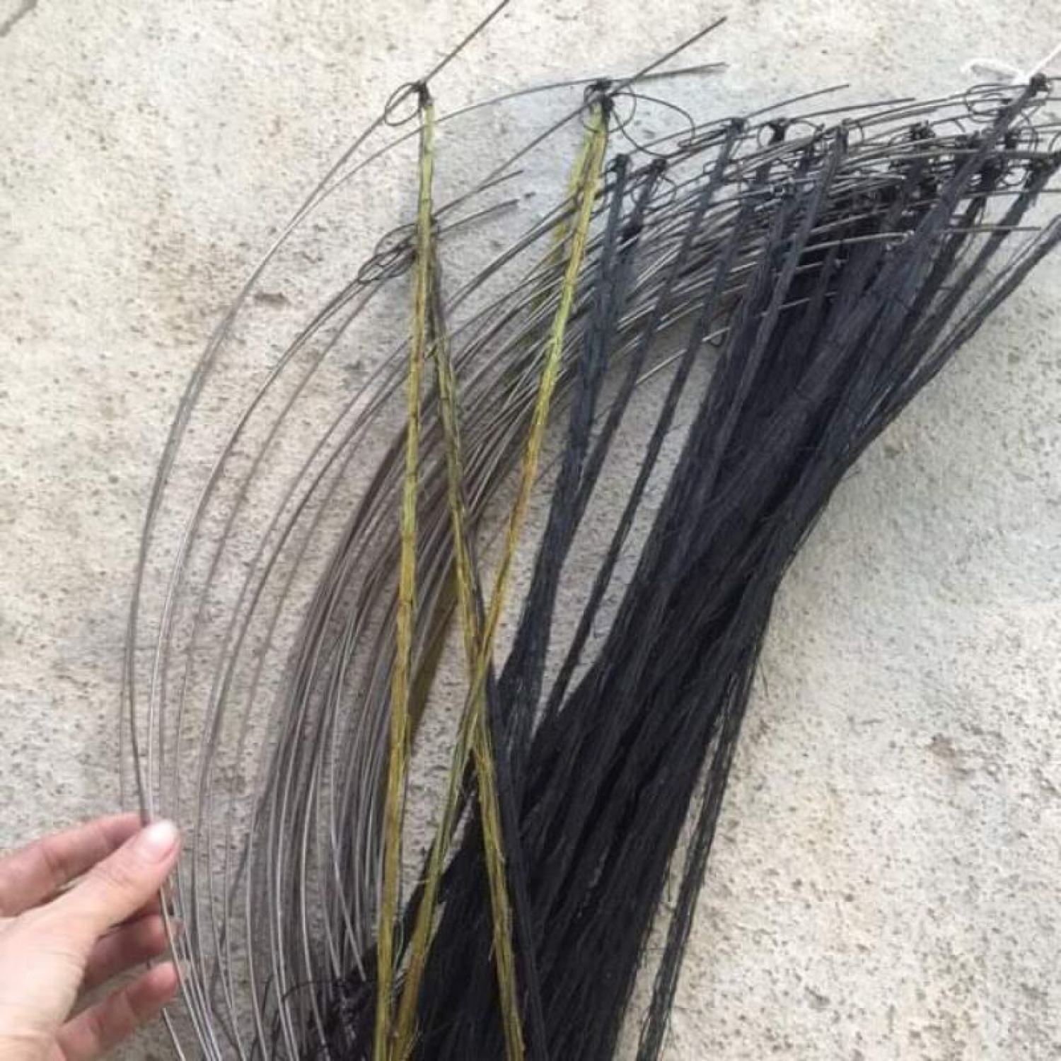5 cái bẫy cung cút 75k