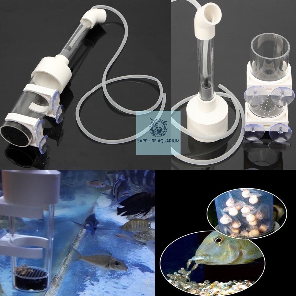 Lồng ấp trứng cá Cichlids Fish Egg Incubator Ø50