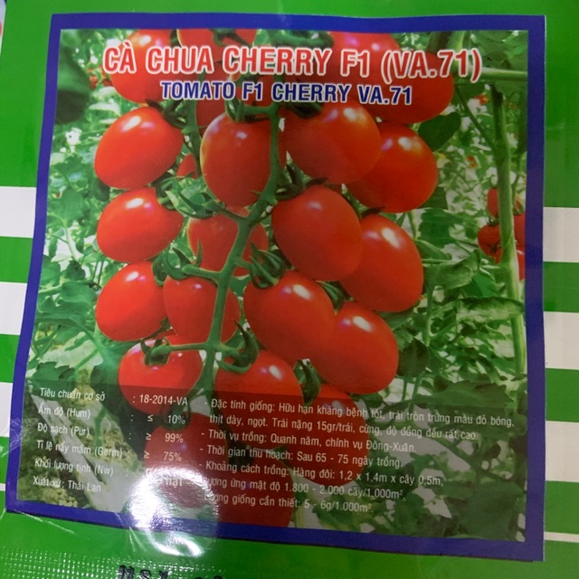 Hạt giống Cà Chua Bi Cherry Đỏ