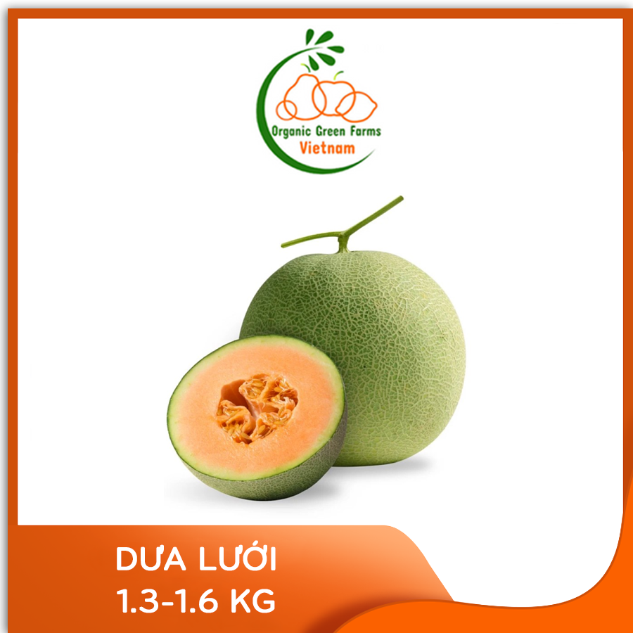 [OGF] - Dưa lưới - Giao nhanh HCM