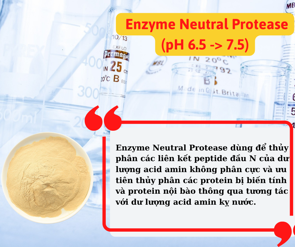 Men ủ phân cá  Neutral  Protease (Men xử lý mùi hôi ủ cá)