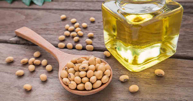 Chai Dầu Đậu Nành Tường An 5L
