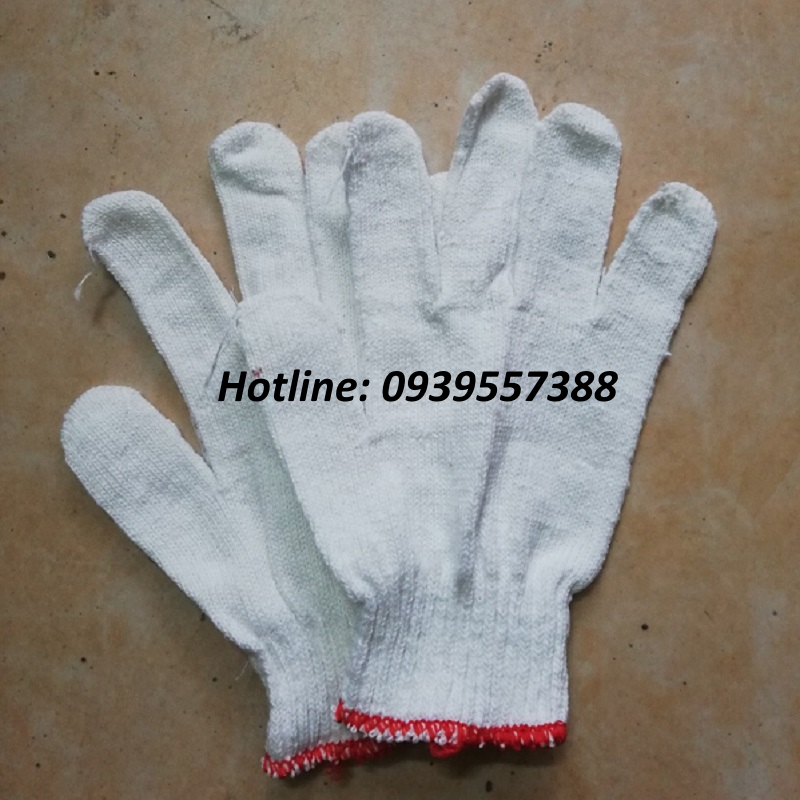 Combo 10 đôi găng tay sợi len trắng