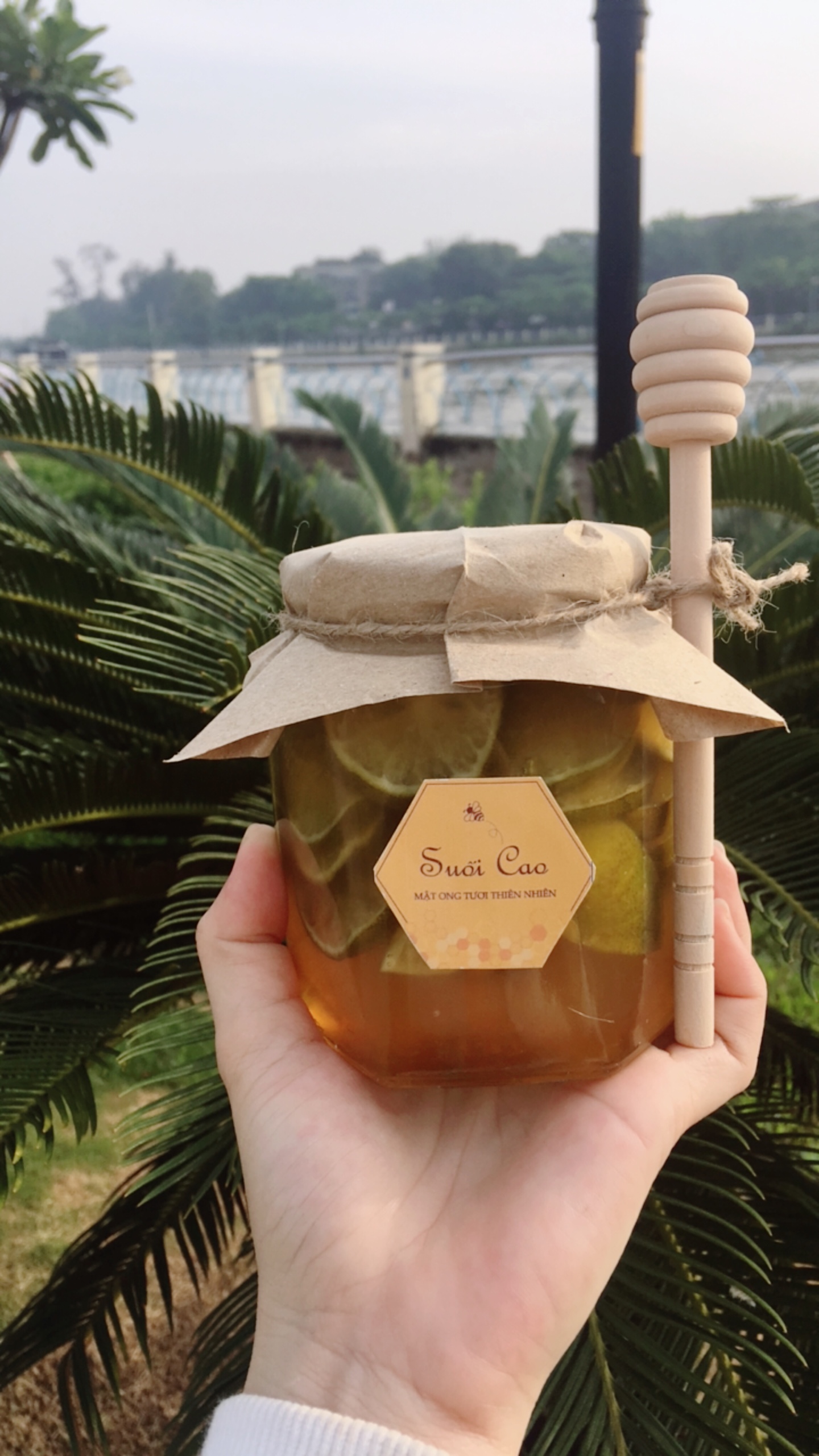 CHANH-NGÂM-MẬT-ONG-ĐƯỜNG-PHÈN-380ML