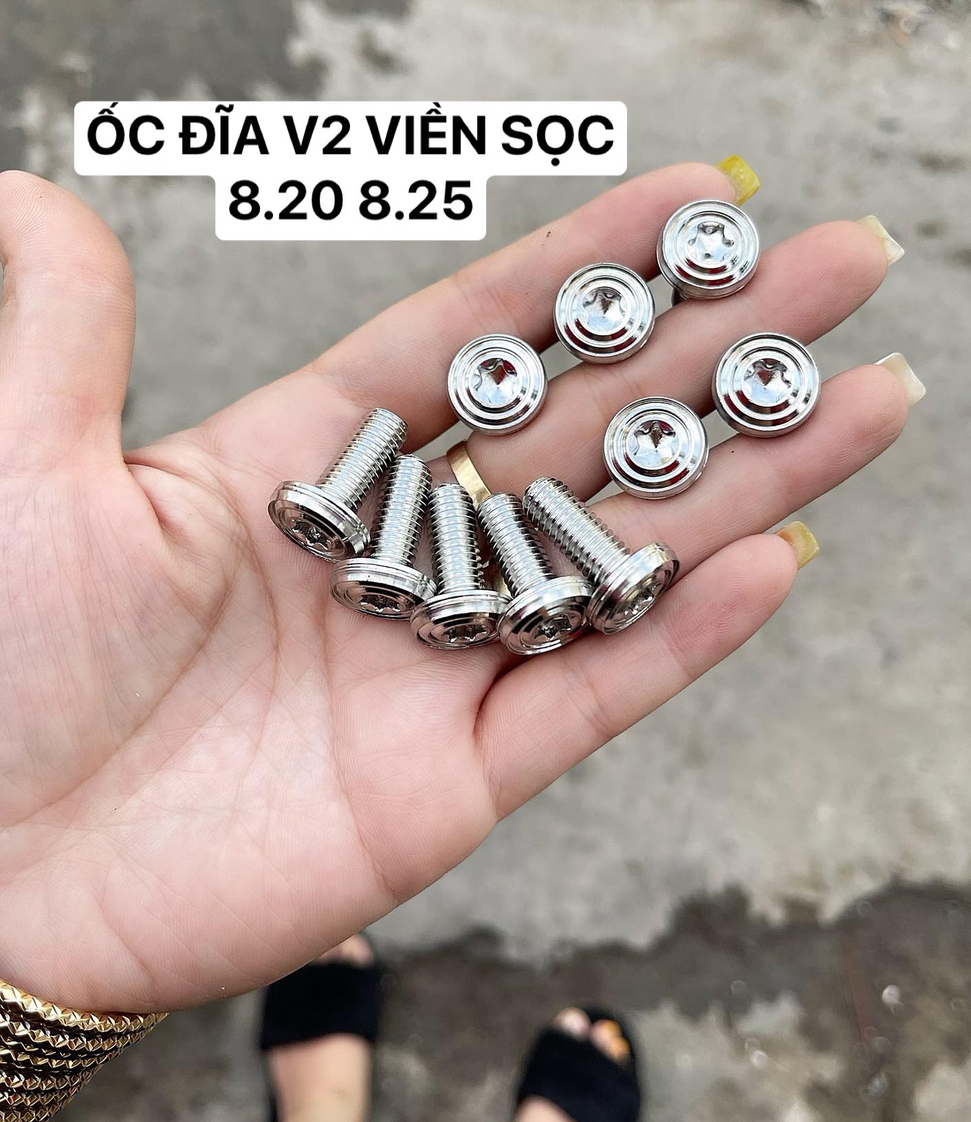 Ốc Bắt Đĩa Salaya Inox 304 8Li