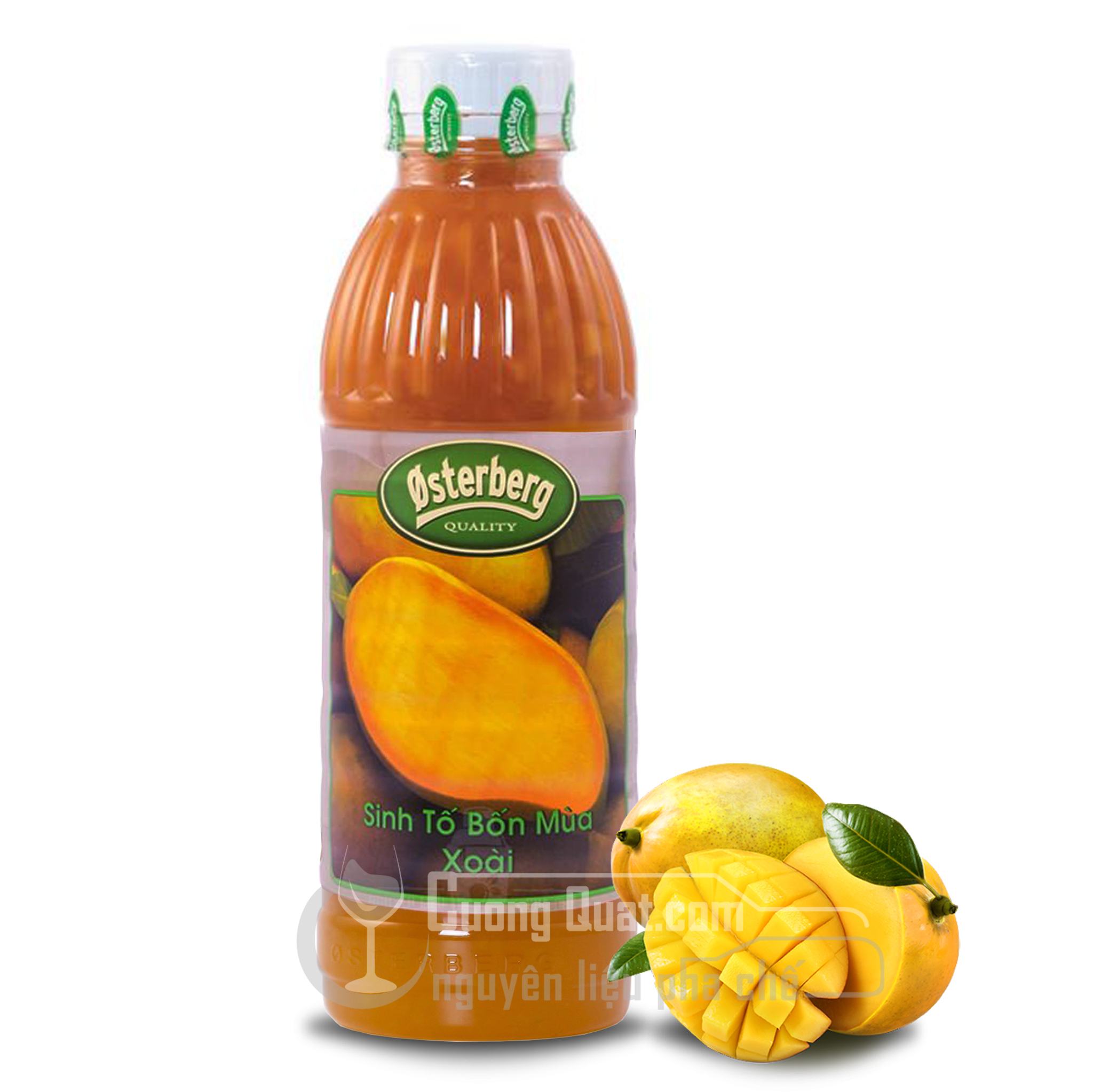 Sinh Tố Osterberg Chai 1L - Sinh Tố Vị Trái Cây Tự Nhiên