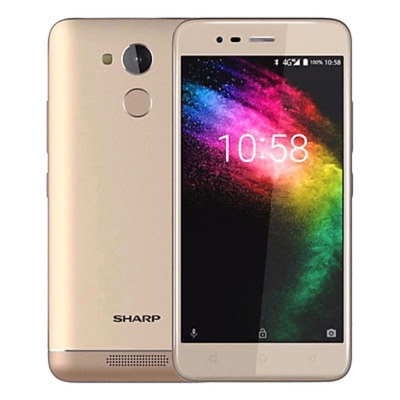 Pin Sharp R1