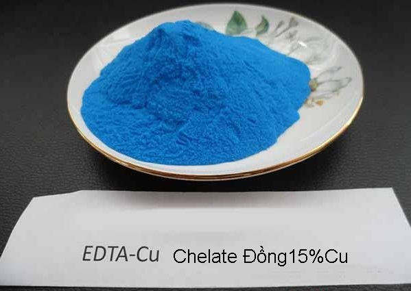 Chelate Đồng _ EDTA-Cu (15%Cu) cho cây trồng
