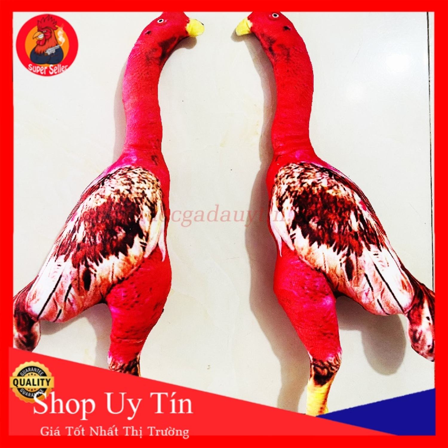 Gà bông gà tập lực rèn luyện kỹ năng cho chiến kê