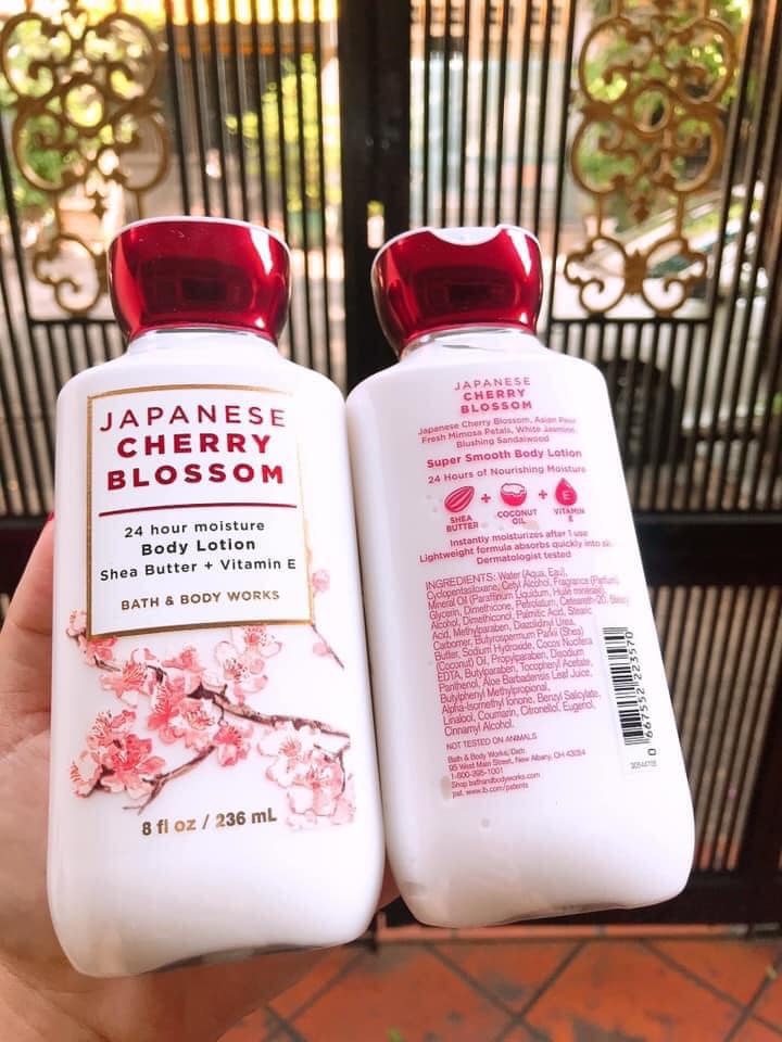 Dưỡng thể Bath & Body Work Japanese Cherry Blossom 8oz