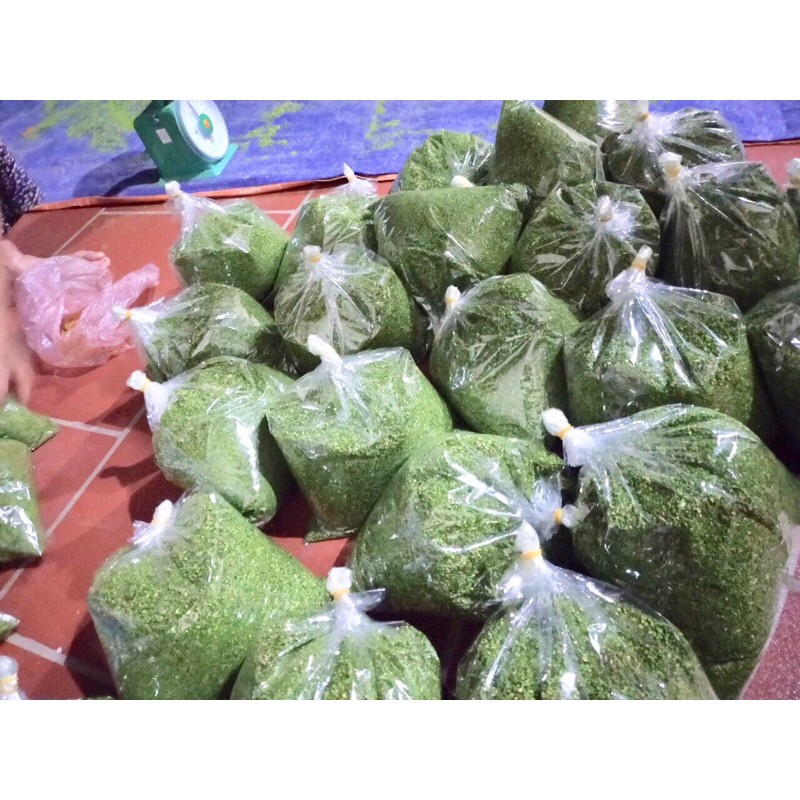 Rêu bột XANH phủ cây,chậu hoa🌿 Handmade