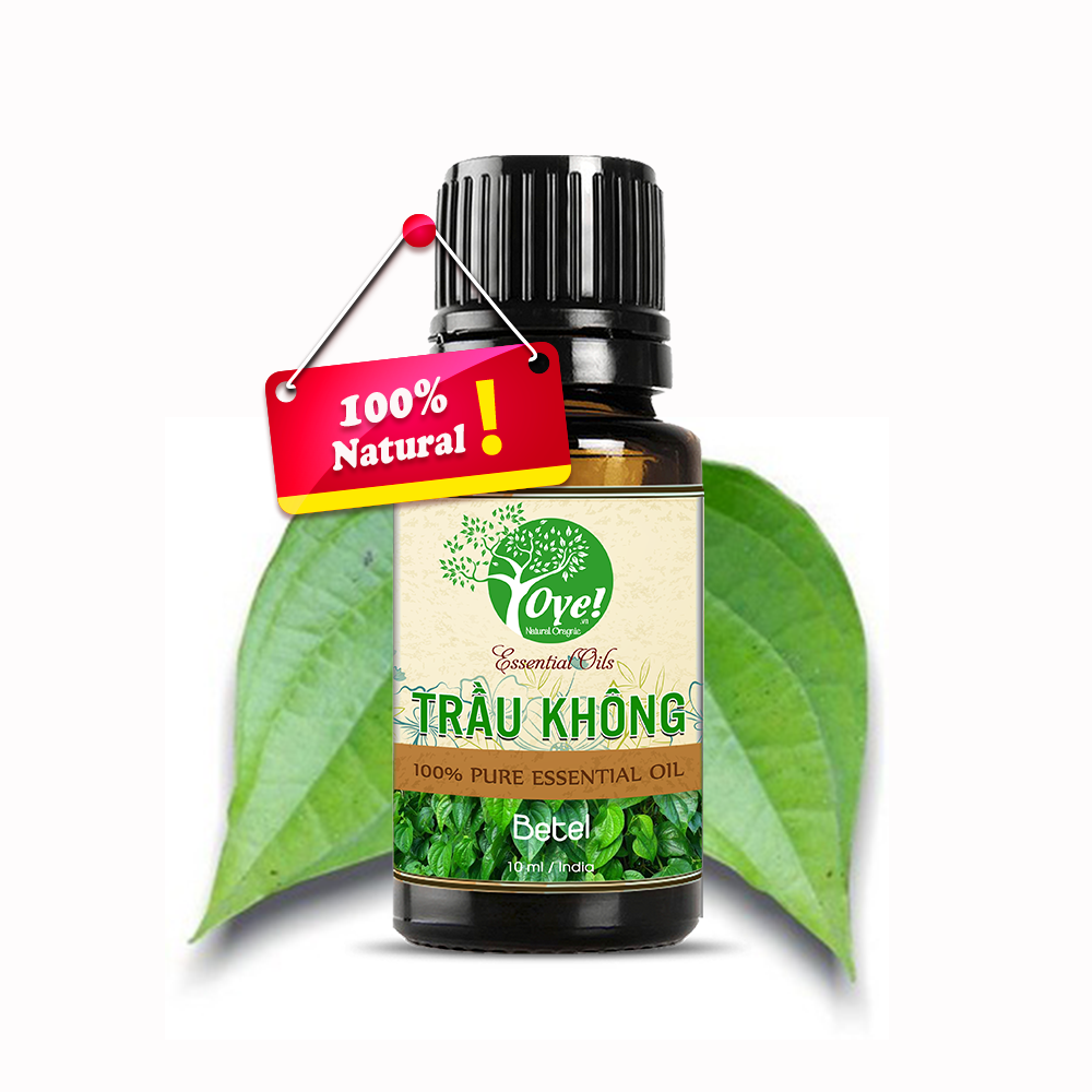 Tinh Dầu Trầu Không 50ml Nguyên Chất
