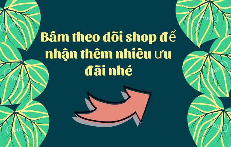Quần giấy nam đen (50 cái / 1 lốc)