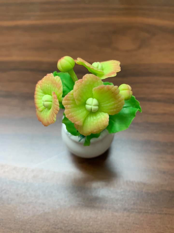 [HCM]Chậu hoa đất sét mini thủ công handmade