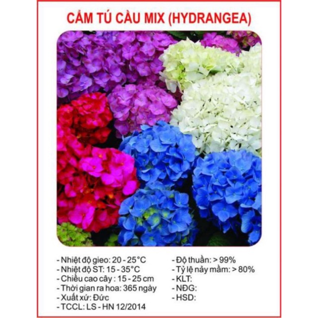 Hạt Giống Hoa Cẩm Tú Cầu Nhiều Màu Gói 10 Hạt