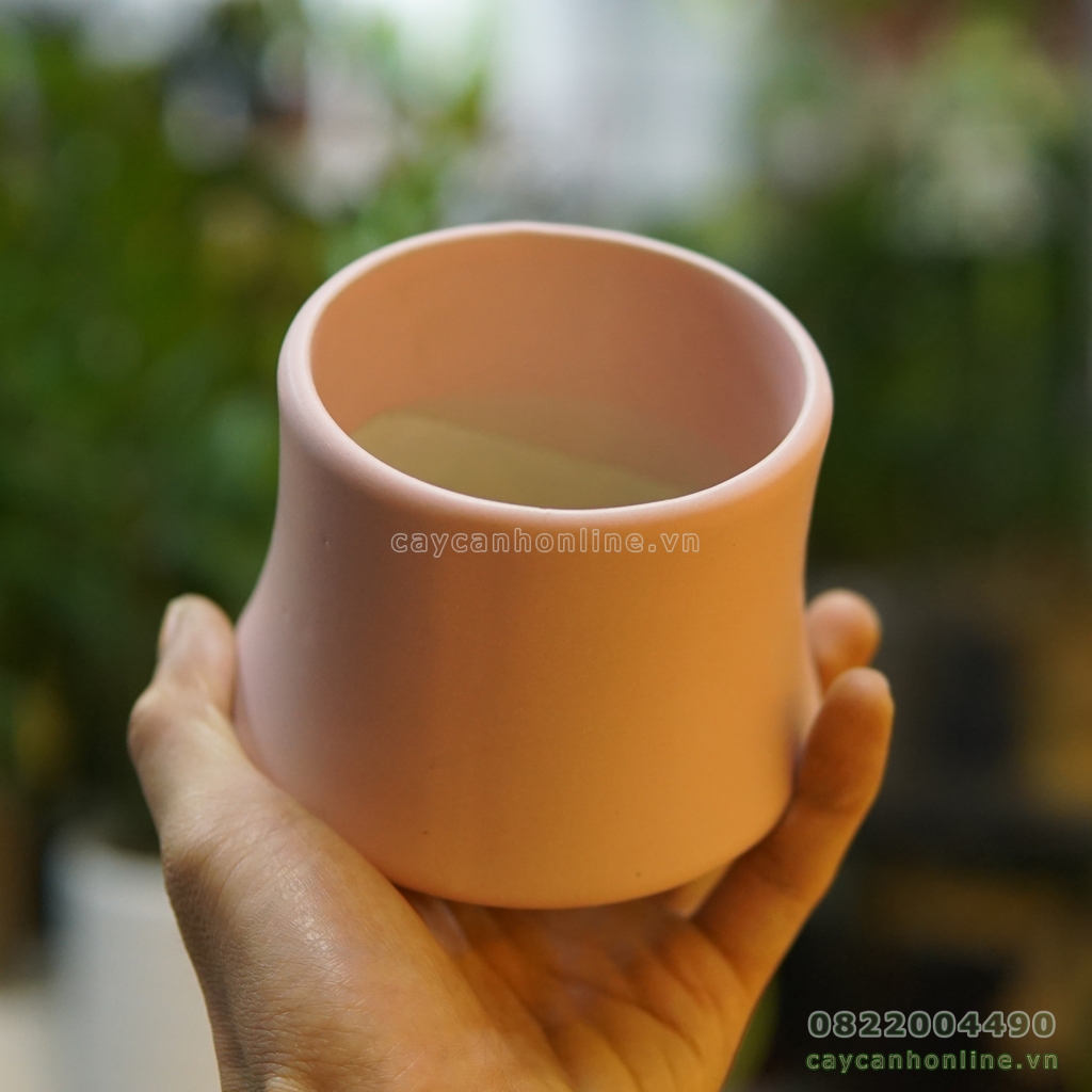Chậu đốt trúc trồng cây cảnh để bàn cây mini