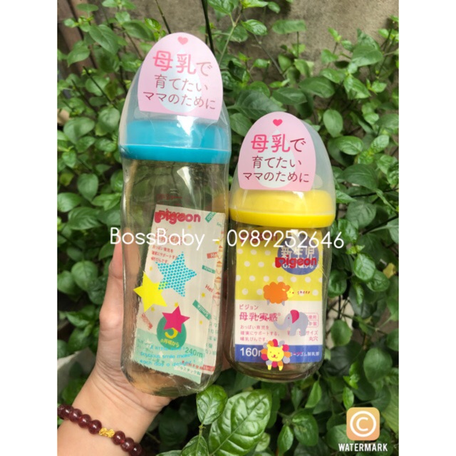 Bình pigeon thái lan 160ml/240ml
