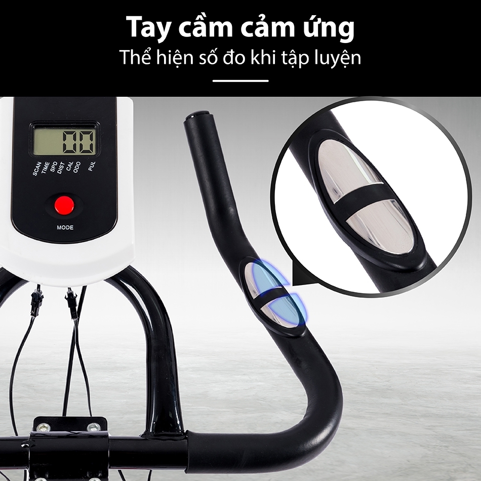 Xe đạp tập thể dục CY-S300