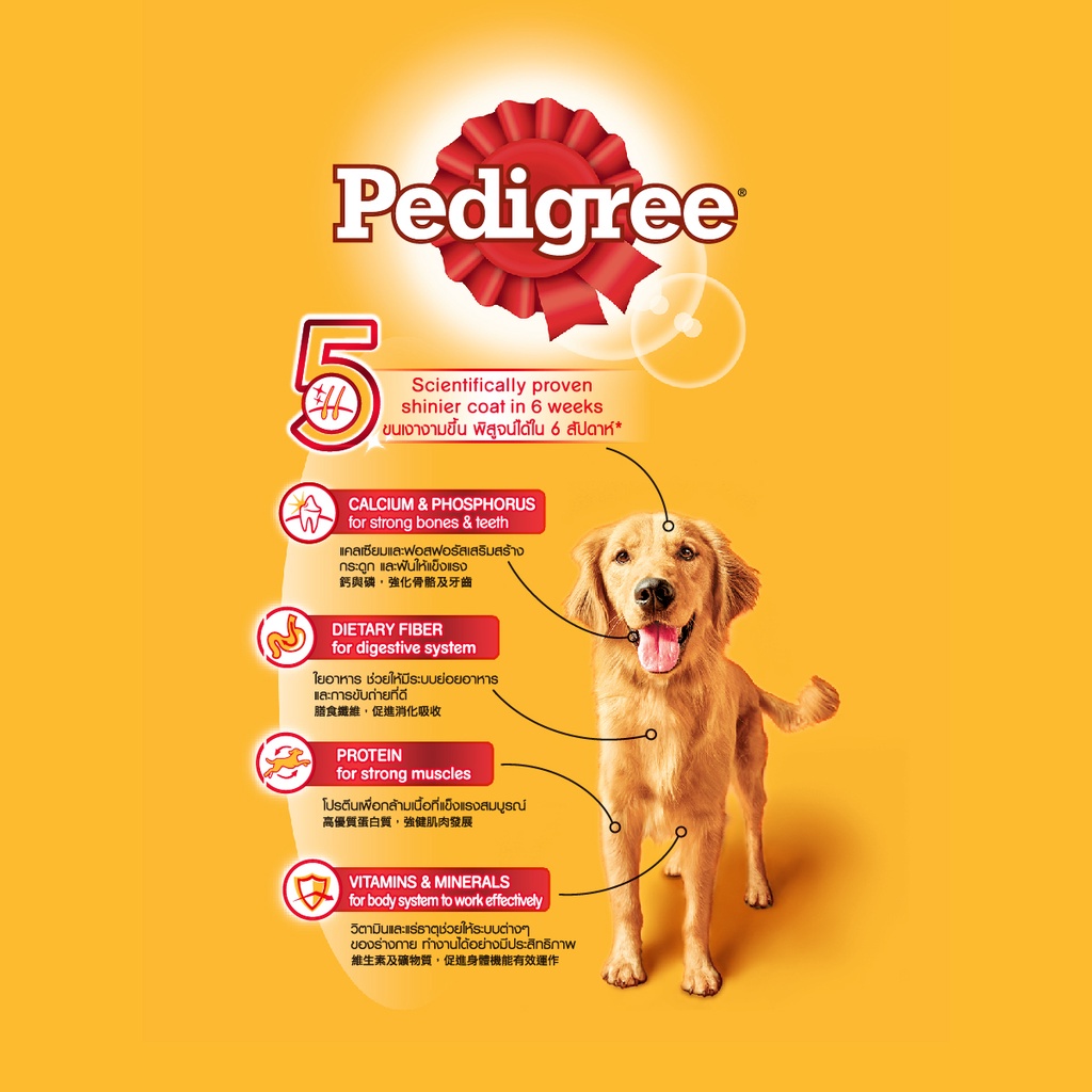 PEDIGREE - Chó lớn - vị bò rau