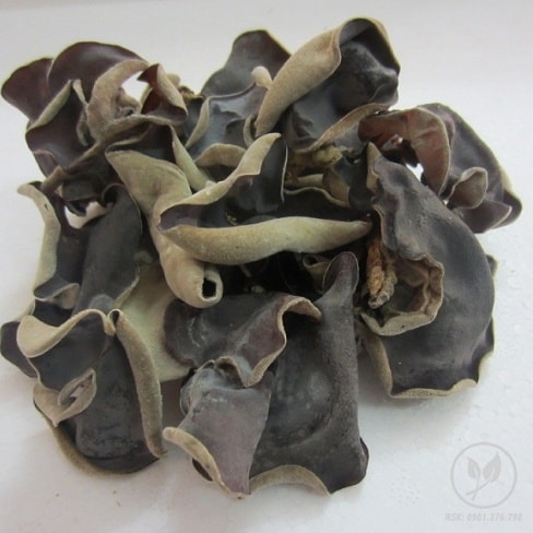 [HCM]Nấm mèo 2 da LOẠI TO 100gr - Nấm dày giòn Hàng đà Lạt-