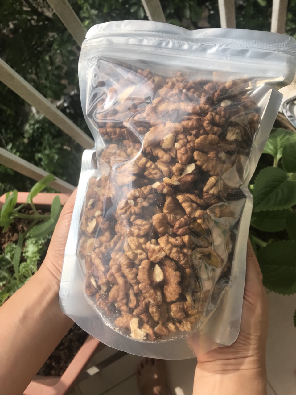 Óc chó nếp vàng Mỹ