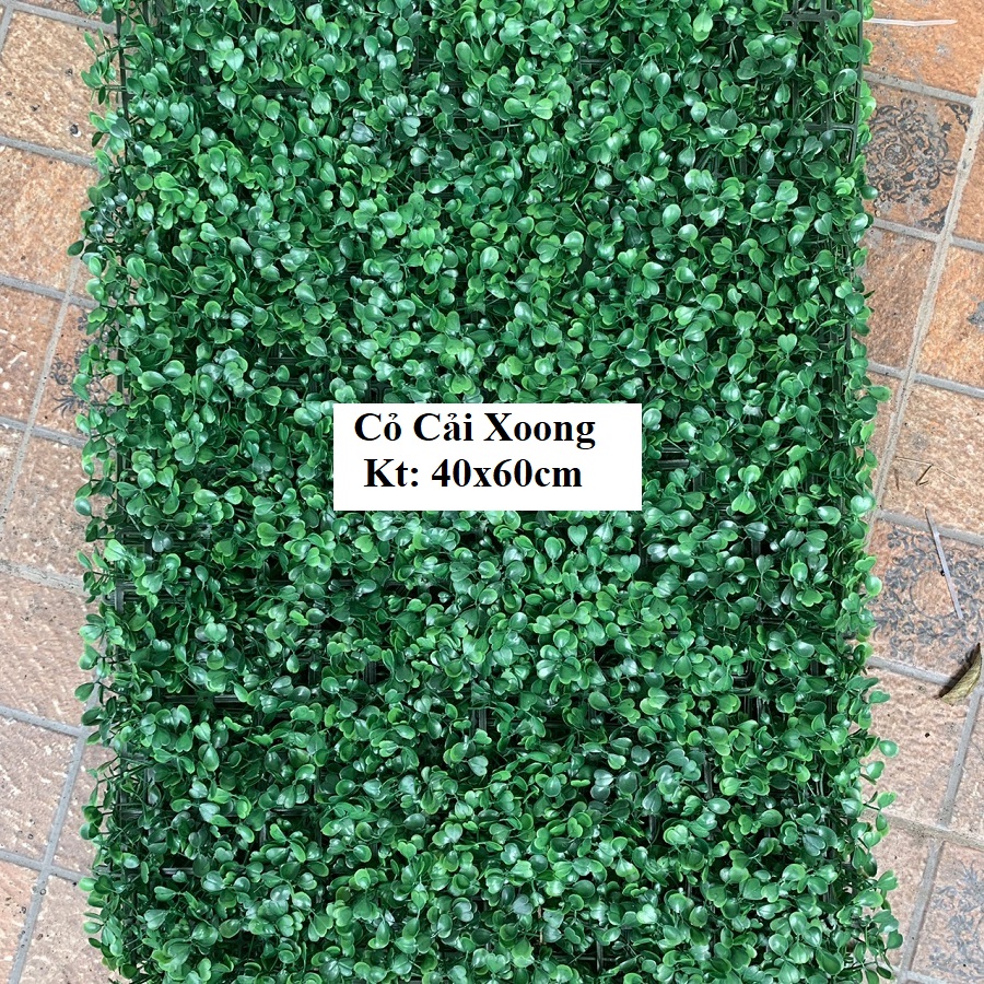 COMBO 30 TẤM CỎ CẢI XOONG TRANG TRÍ TƯỜNG