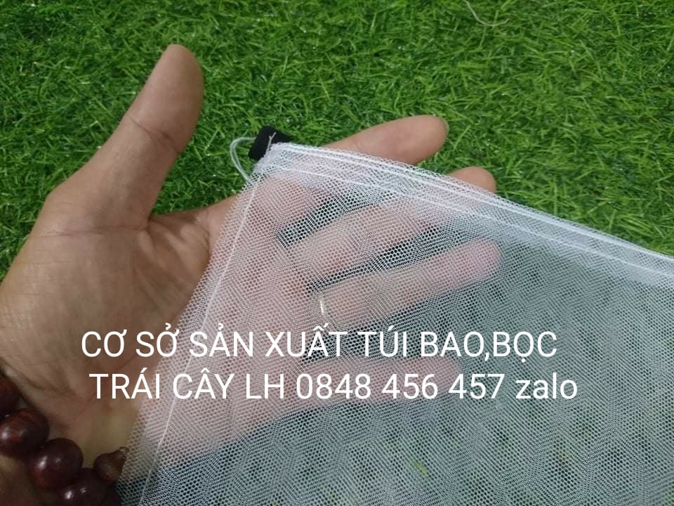 100 cái bao,bọc na,cam,bơ,ổi,...kích thước 20*25