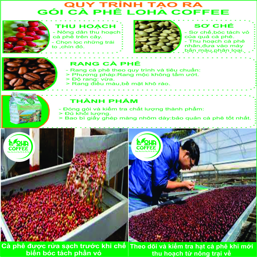 500gr  Cà Phê Hạt Arabica Đà Lạt Rang Mộc Dạng Hạt Pha Máy -LOHA COFFEE