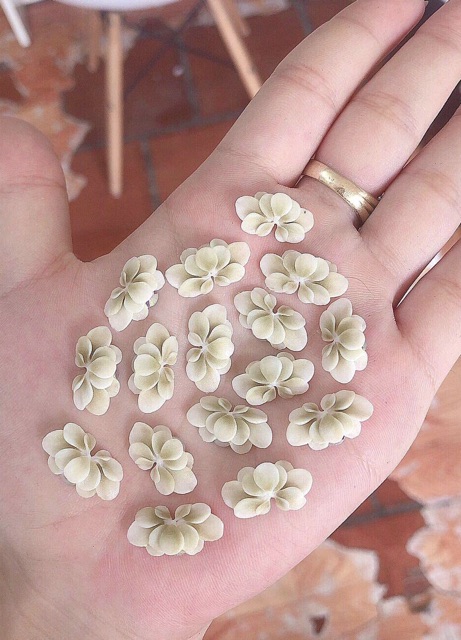 Cúc ombre ( 1b) Phụ kiện Nail