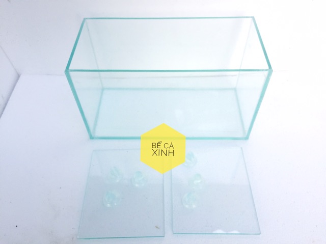 Bể cá 3 ngăn để bàn - bể cá betta cỡ 30*15*16cm-bể cá trang trí