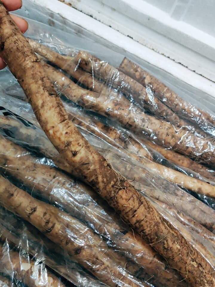 TEKKA Bơ Đặc Biệt - Món ăn thực dưỡng người Nhật - 200gr