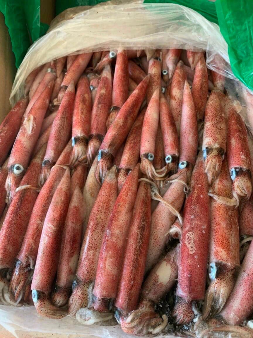 [CHỈ GIAO HÀ NỘI]  1KG Mực trứng