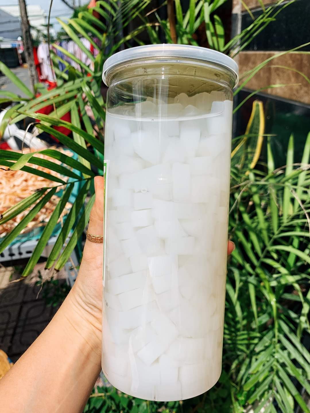 Thạch Dừa Thái Lan Hủ Pet 1kg