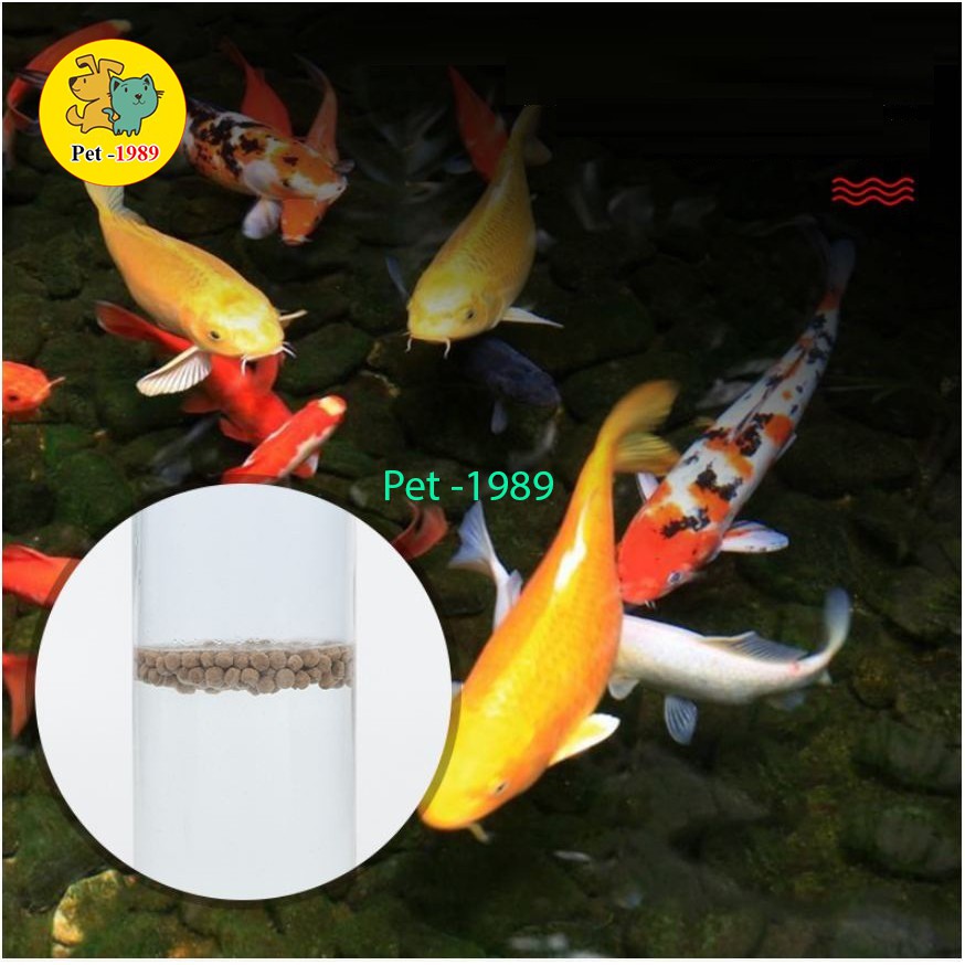 Thức Ăn Cá Shanghai 100g - Cám Cá Cảnh